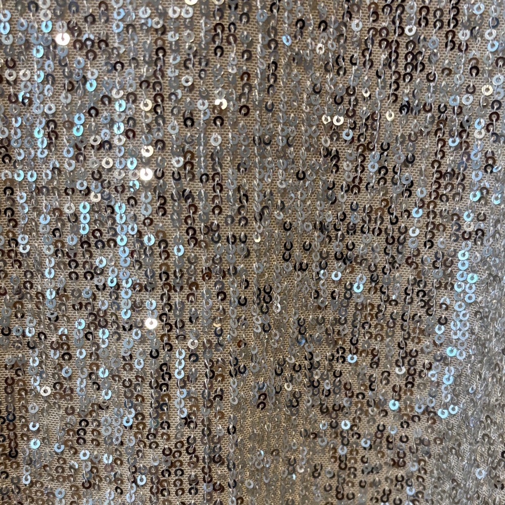 Lucy Paris Shimmering Silver Sequin Crop Top - Picture 5 of 8